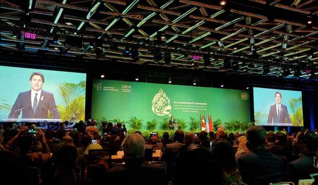 México participará en la definición de la agenda global de biodiversidad para los próximos años