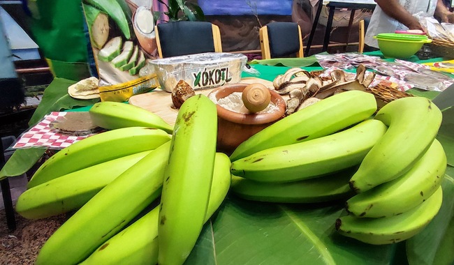 Respalda Agricultura producción de harina de plátano verde panificable, de alto valor nutricional y con potencial de reemplazar importaciones.