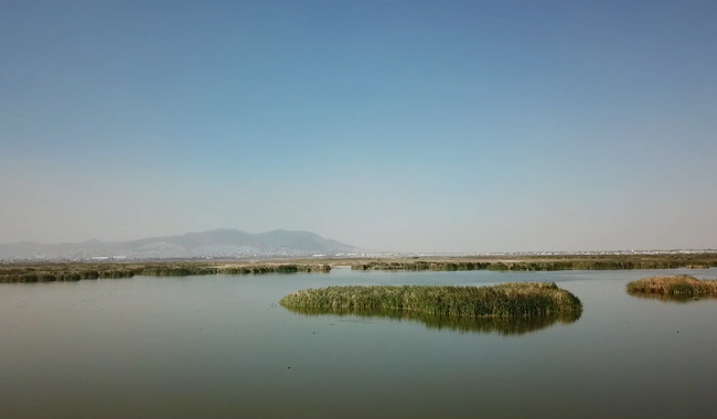Laguna en Texcoco