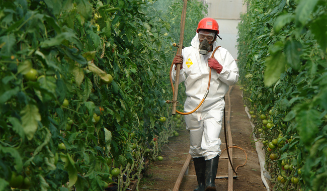 Fortalecerán México, Estados Unidos y Canadá regulación sobre plaguicidas agrícolas