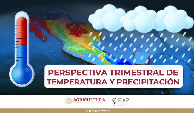 Perspectiva Trimestral de Temperatura y Precipitación