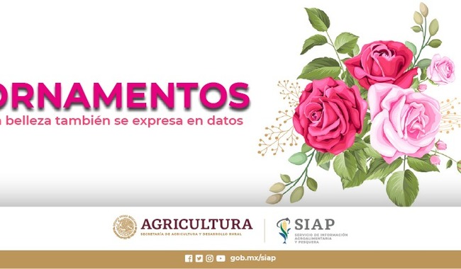 Indicadores de la producción de ornamentos generados por la floricultura mexicana para atender la demanda interna que se gesta durante la celebración de eventos especiales.