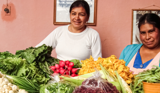 En los últimos años, la producción de alimentos orgánicos en México ha crecido exponencialmente