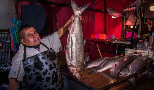 Invita Agricultura a consumir pescados y mariscos durante la temporada de Cuaresma y Semana Santa