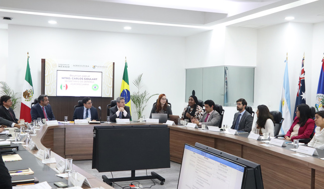 En reunión de trabajo, el director en jefe del Senasica, Javier Calderón Elizalde, y el secretario de Defensa Agropecuaria de Brasil. 