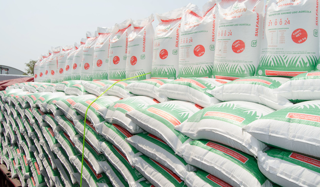 Iniciará Agricultura envío de fertilizante a la península de Yucatán en beneficio de más de 88 mil productores.