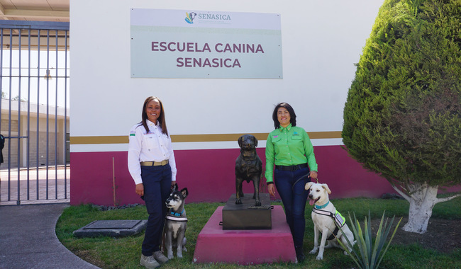 Con el fin de que los países de Centroamérica y El Caribe mejoren sus sistemas de detección de productos de riesgo, la Secretaría de Agricultura capacitó a dos nuevos oficiales de República Dominicana y Costa Rica como instructores caninos certificados.