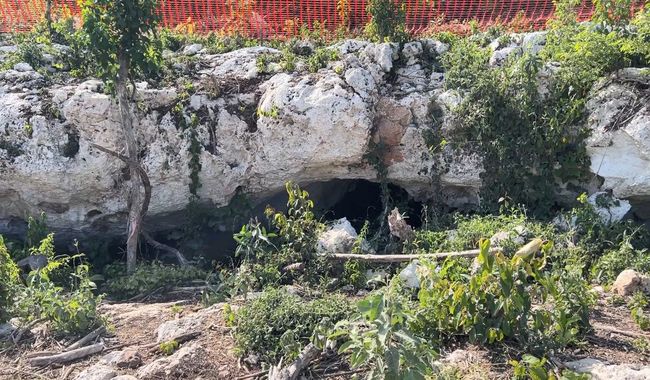Al día de hoy, la cueva Dama Blanca se encuentra intacta, acordonada y se  evalúan las medidas para su protección, Secretaría de Cultura, Gobierno