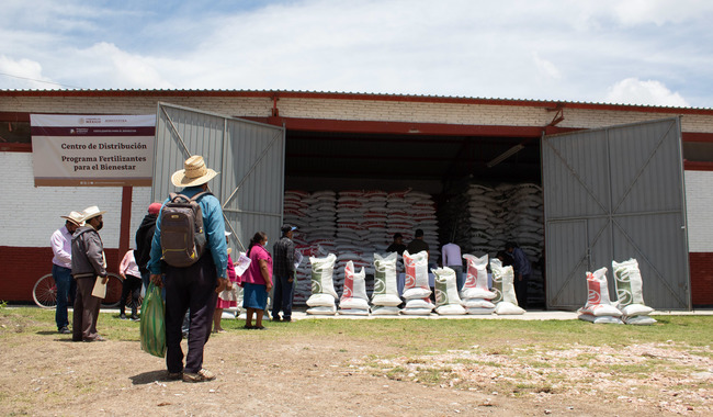 La Secretaría de Agricultura y Desarrollo Rural iniciará el suministro del insumo en Querétaro, donde beneficiará por primera vez a 16 mil productores de granos básicos. 