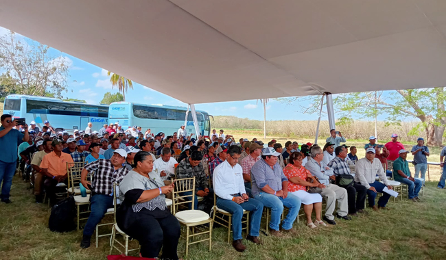 El Ministro de Agricultura, Seguridad Alimentaria y Empresas de Belice, José Abelardo Mai, realizó una visita de campo y participó en el foro de divulgación tecnológica del cocotero, en el Campo Experimental del INIFAP en Chetumal, Quintana Roo.     