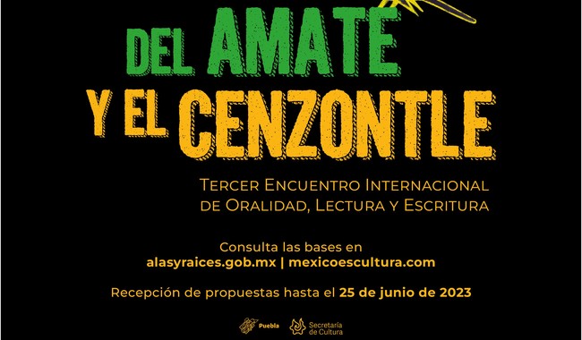 La invitación está dirigida a personas de nacionalidad mexicana mayores de 18 años, con residencia en México, con propuestas en español y/o cualquiera de las 68 Lenguas Indígenas Nacionales.