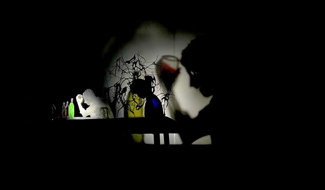 Pharo Teatro es una compañía teatral especializada en el arte del teatro de sombras y, desde su creación en 2021 por la artista Cristina Vázquez Bátriz. 