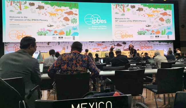 Décima Sesión Plenaria de la IPBES