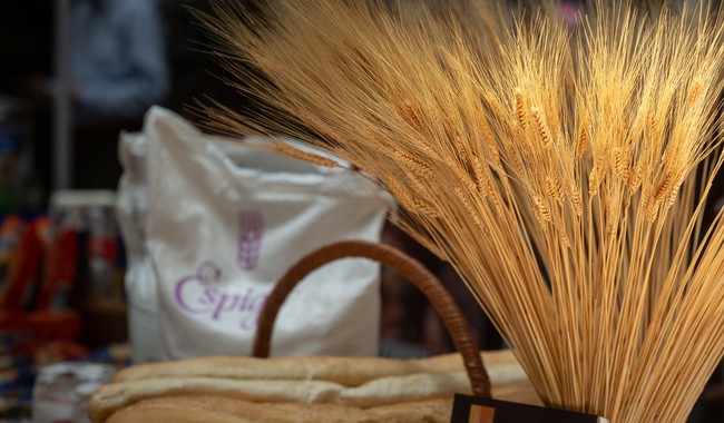 El trigo es el tercer cereal más cultivado después del maíz y el arroz y, en México, es el segundo cereal
más consumido, con un promedio de 61.4 kilogramos per cápita al año.