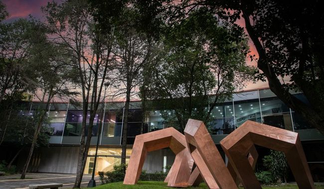 Este 20 de septiembre el Museo de Arte Moderno celebra 59 años de resguardar, investigar y compartir con el público el patrimonio artístico de México. 