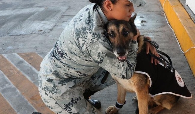 Guardia Nacional realiza la ceremonia de jubilación y donación de 34 canes que culminaron periodo de servicio 