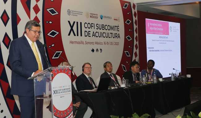 Fortalece México liderazgo para dar cumplimiento a Directrices para la Acuicultura Sostenible

