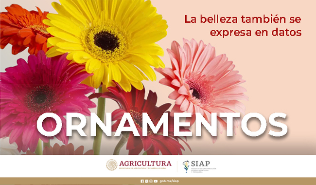 Boletín que presenta indicadores de la producción de ornamentos generados por la floricultura mexicana para atender la demanda interna que se gesta durante la celebración de eventos especiales para la población nacional.