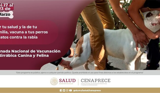Postal Jornada Nacional de Vacunación Antirrábica Canina y Felina