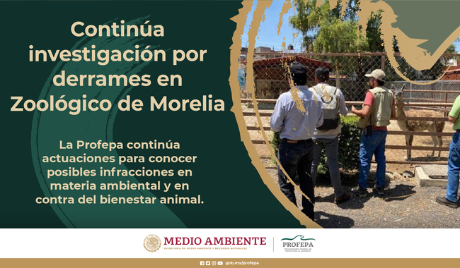 Continúa investigación por derrames en Zoológico de Morelia 