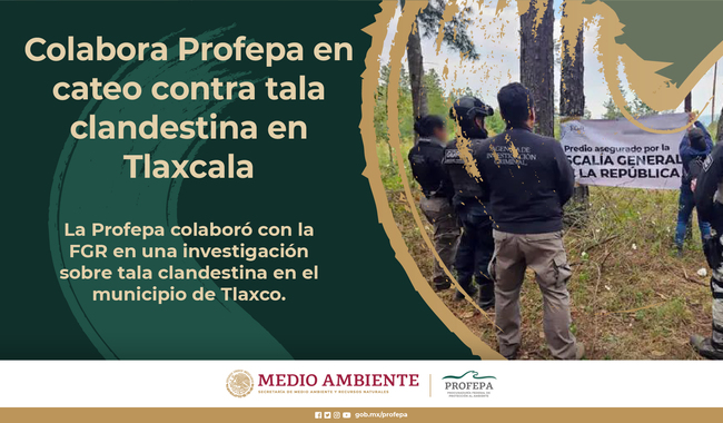 Colabora Profepa en cateo contra tala clandestina en Tlaxcala