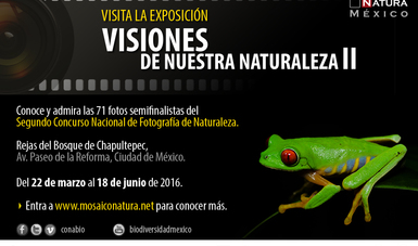 Exposición Visiones de Nuestra Naturaleza II