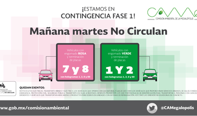 Martes 03 dejarán de circular los vehículos con engomado rosa y verde.