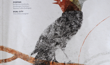 En su portada presenta ilustración de Juan Palomino, ganador del Premio Internacional Feria de Bolonia-SM