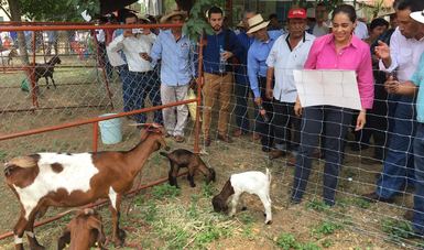 Visita a empresarios sociales dedicados a la explotación de ganado caprino.