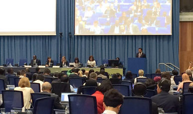 Participación de México en la reunión extraordinaria de las Partes del Protocolo de Montreal.