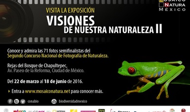BP188_Mosaico Natura-México
