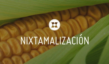 México impulsa en Sudáfrica proyecto de maíz blanco