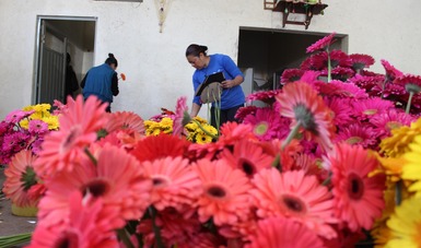 Productores de flores del Estado de México