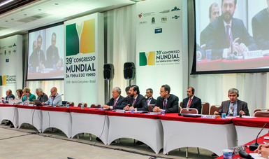 La adhesión de México a la OIV coadyuvará a generar políticas públicas que fomenten un sector económico de rápido crecimiento.
