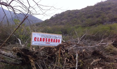 CLAUSURA PROFEPA PREDIO POR REMOCIÓN DE VEGETACIÓN FORESTAL DE 5,000 M2 EN LA SIERRA GORDA DE QUERÉTARO.
