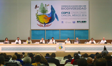 Ministros de medio ambiente de más de 140 países suscribieron la Declaración de Cancún