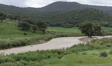 Restauran 8 mil 620 hectáreas de la Cuenca Alta del Río Nazas en Durango