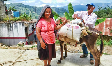 Diconsa lleva con mulas la canasta básica a poblaciones aisladas en faldas del volcán Tacaná
