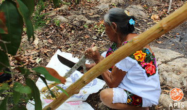 Reconocen la labor de médicas tradicionales mayas en Yucatán