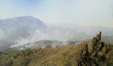 Logran control de 80% en incendio de Chimalapas, Oaxaca